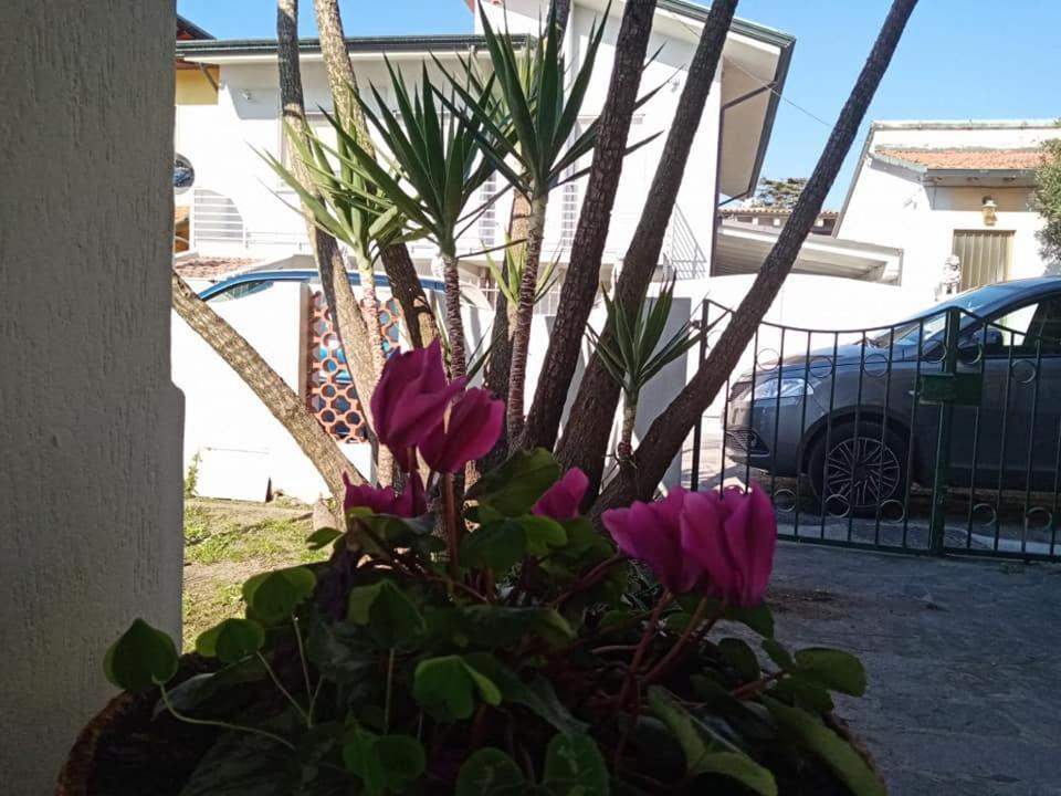 Florinda B&B Viareggio Eksteriør bilde