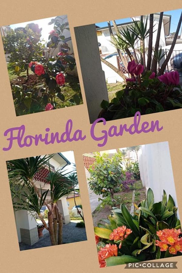 Florinda B&B Viareggio Eksteriør bilde